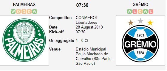 soi-keo-ca-cuoc-mien-phi-ngay-28-08-palmeiras-vs-gremio-vua-du-niem-vui